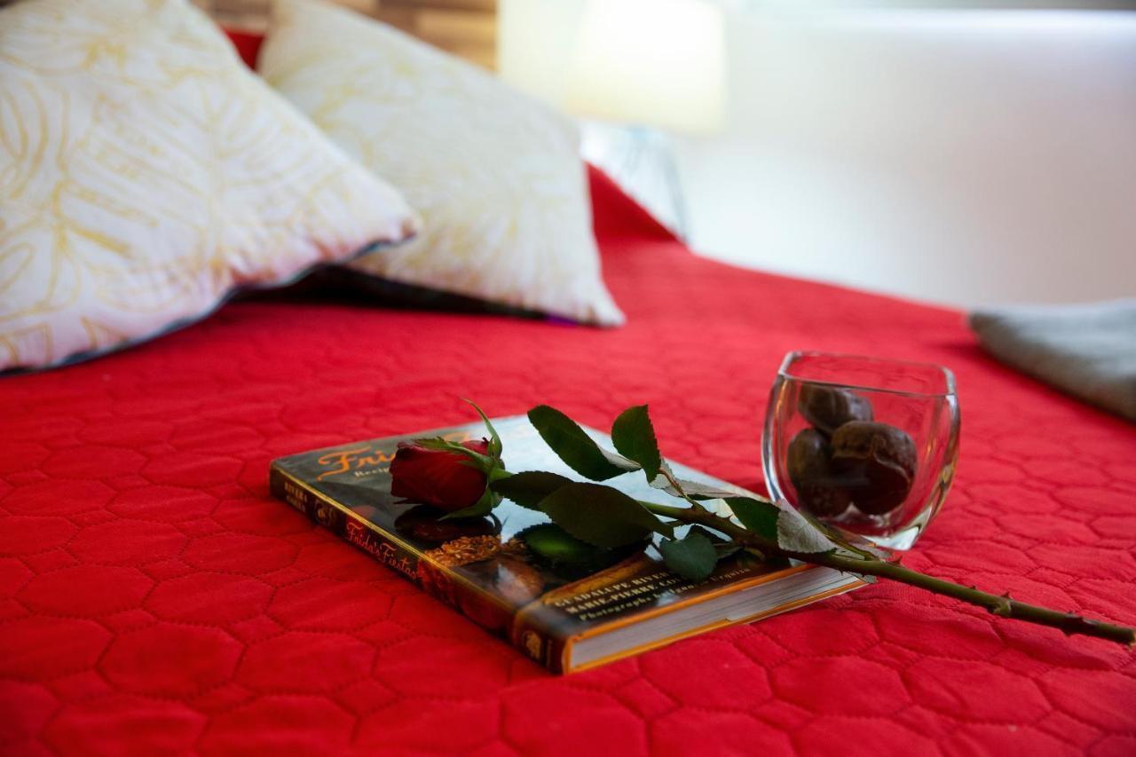 Kolben Nuoma Apartment Mexico City Ngoại thất bức ảnh